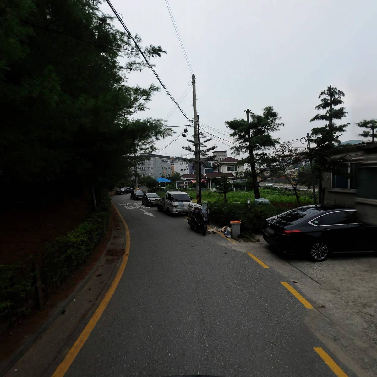 원당건강원_2