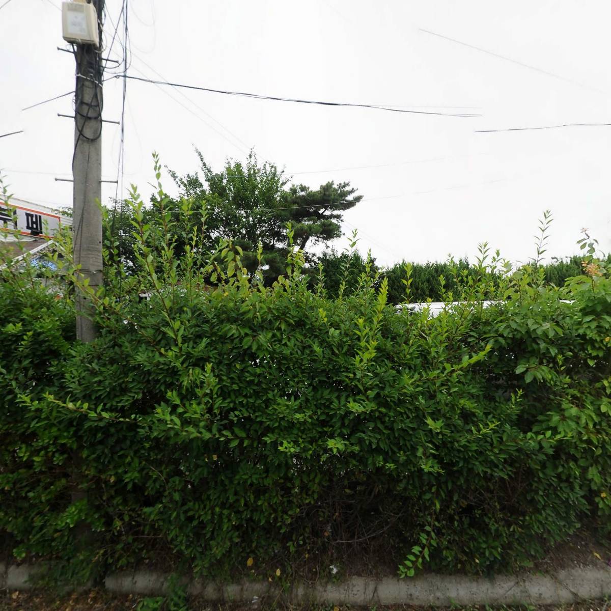 이천몰드디자인_3