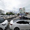 동해동태탕동태찜