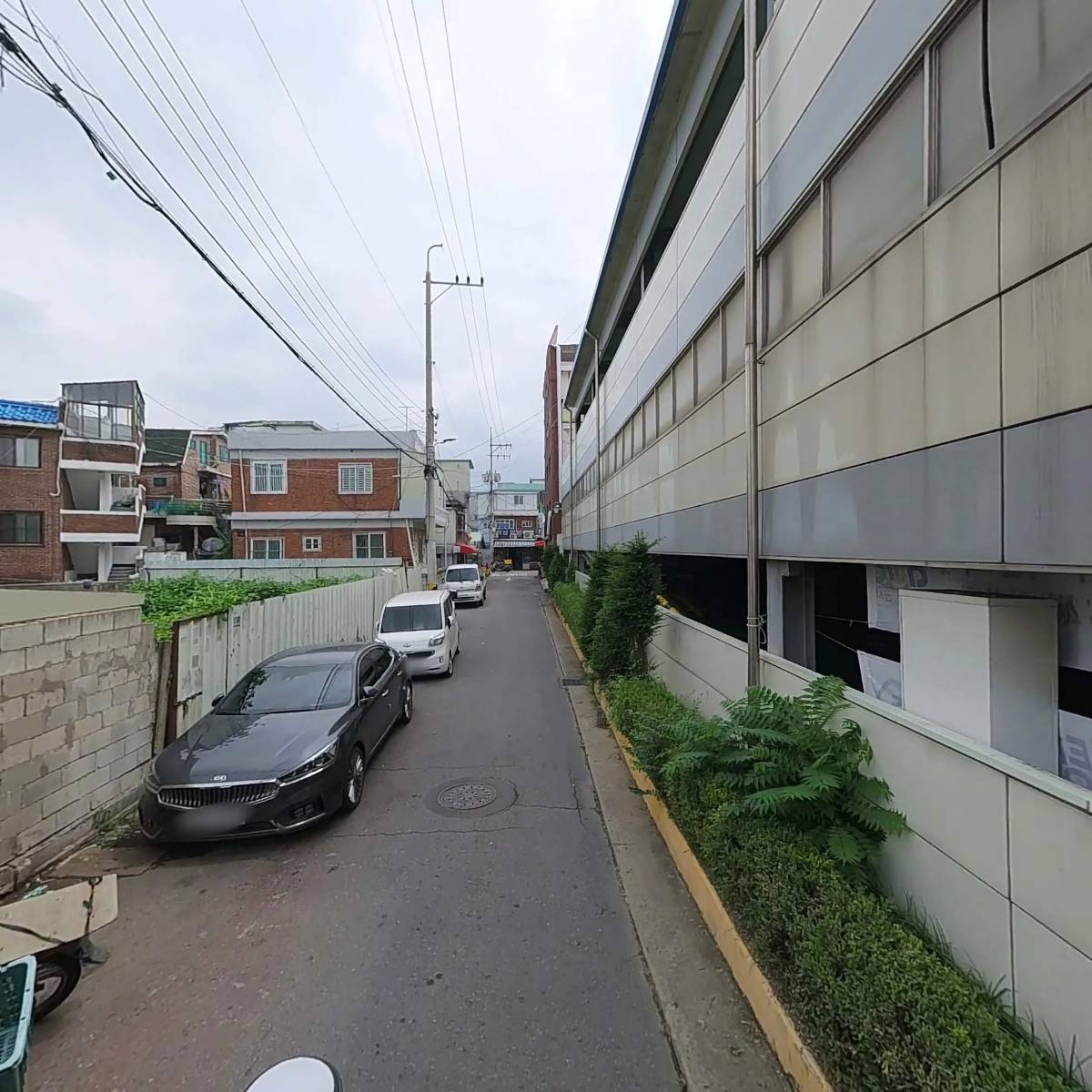 최고봉정육마트_2