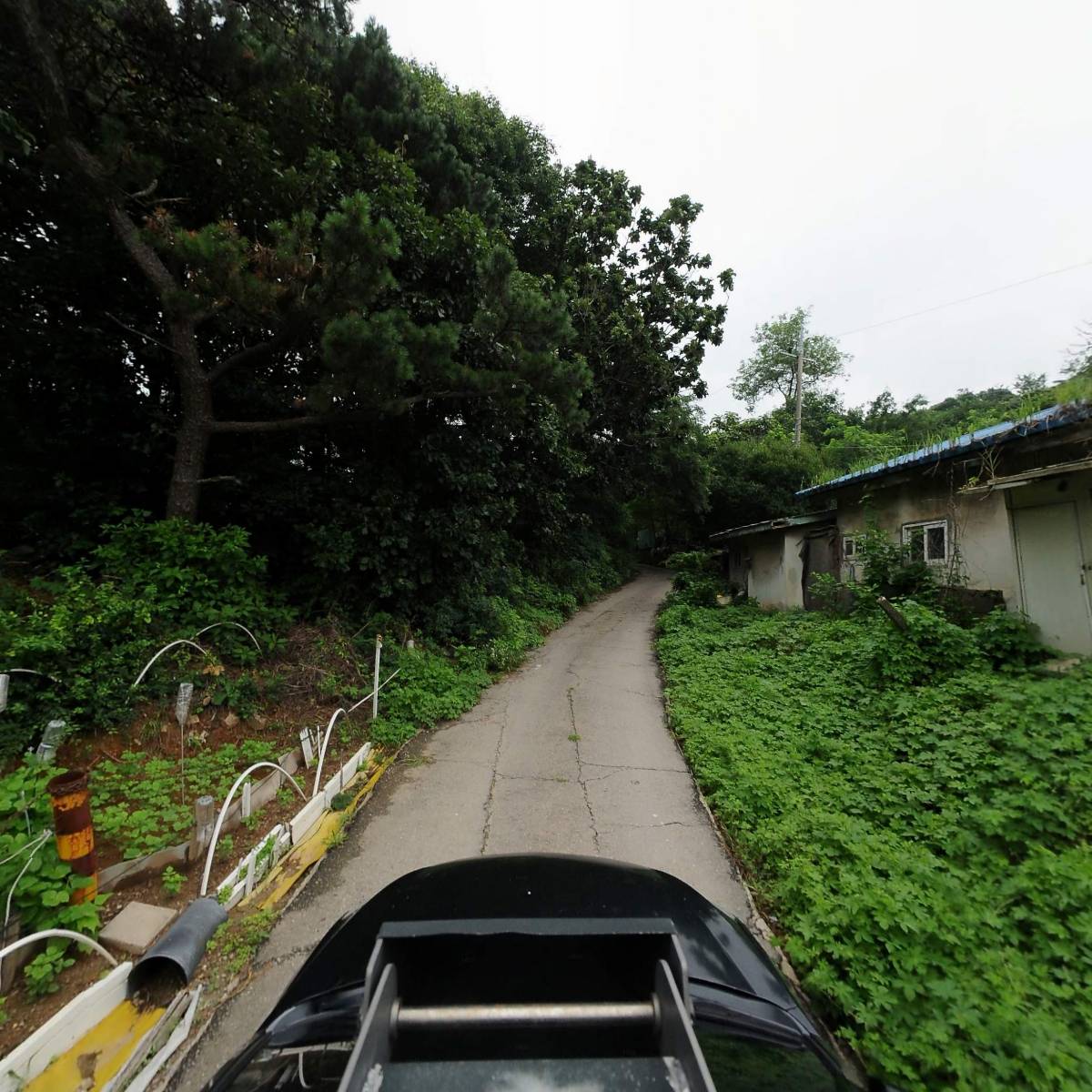 농업회사법인 다솜농장(주)_4