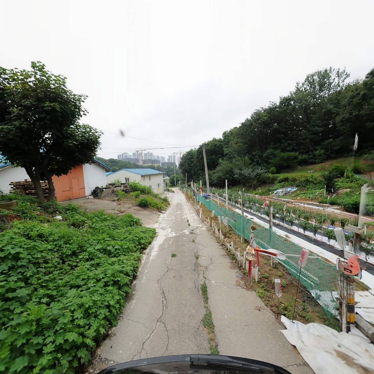 농업회사법인 다솜농장(주)_2