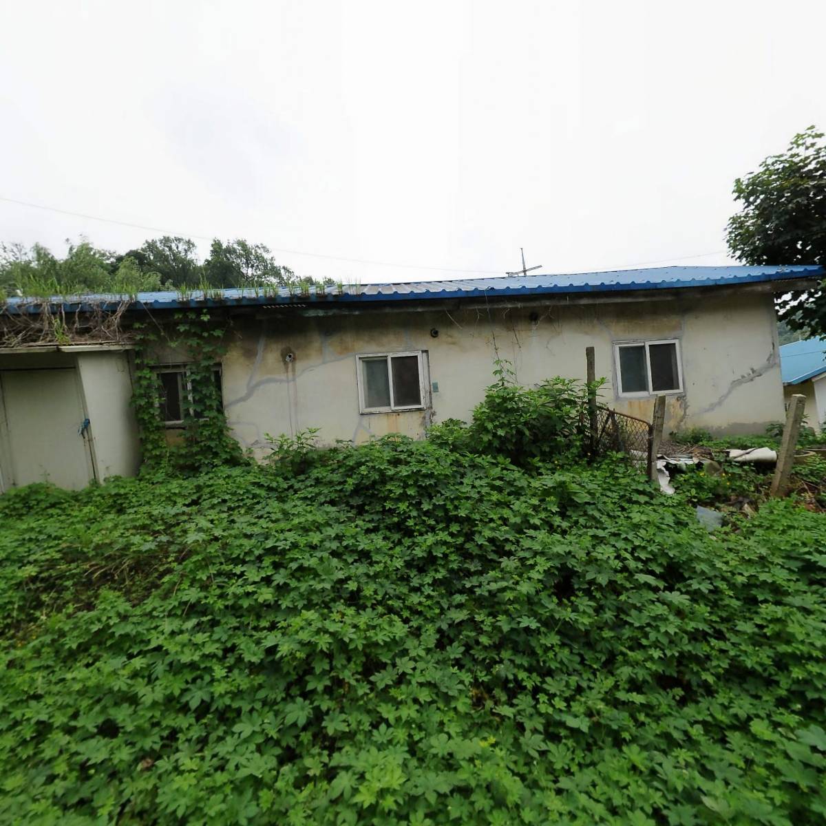 농업회사법인 다솜농장(주)