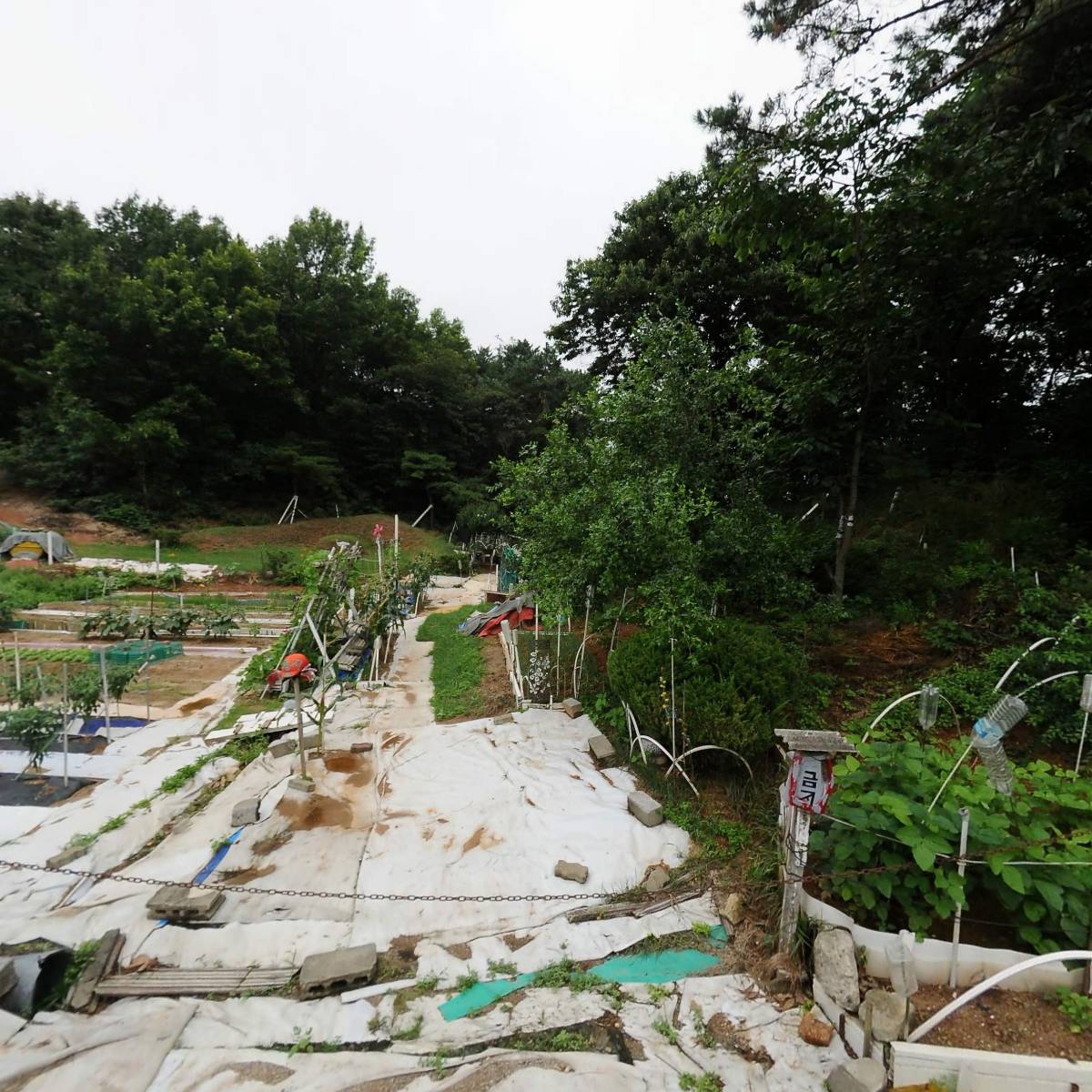 농업회사법인 다솜농장(주)_3