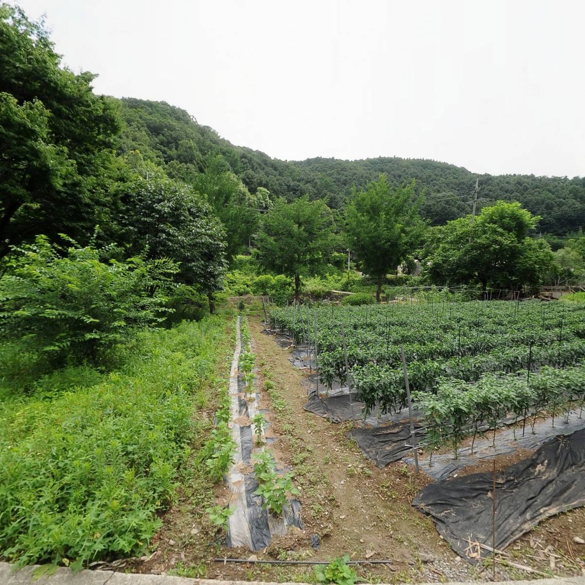 대한불교 수암사