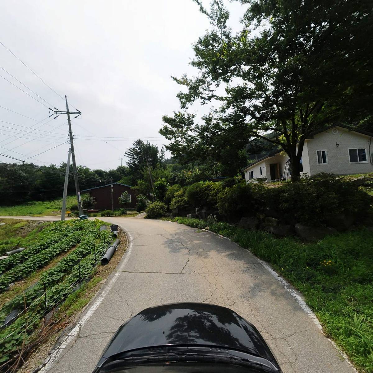 플라이하이_4