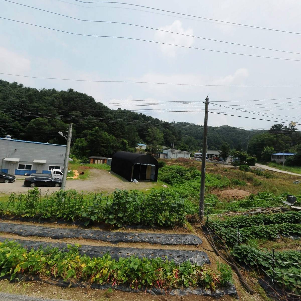 플라이하이_3