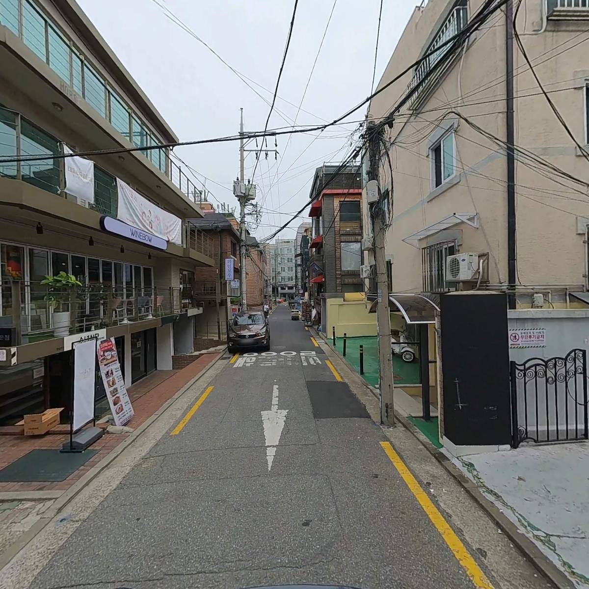 골드피쉬딤섬익스프레스_2