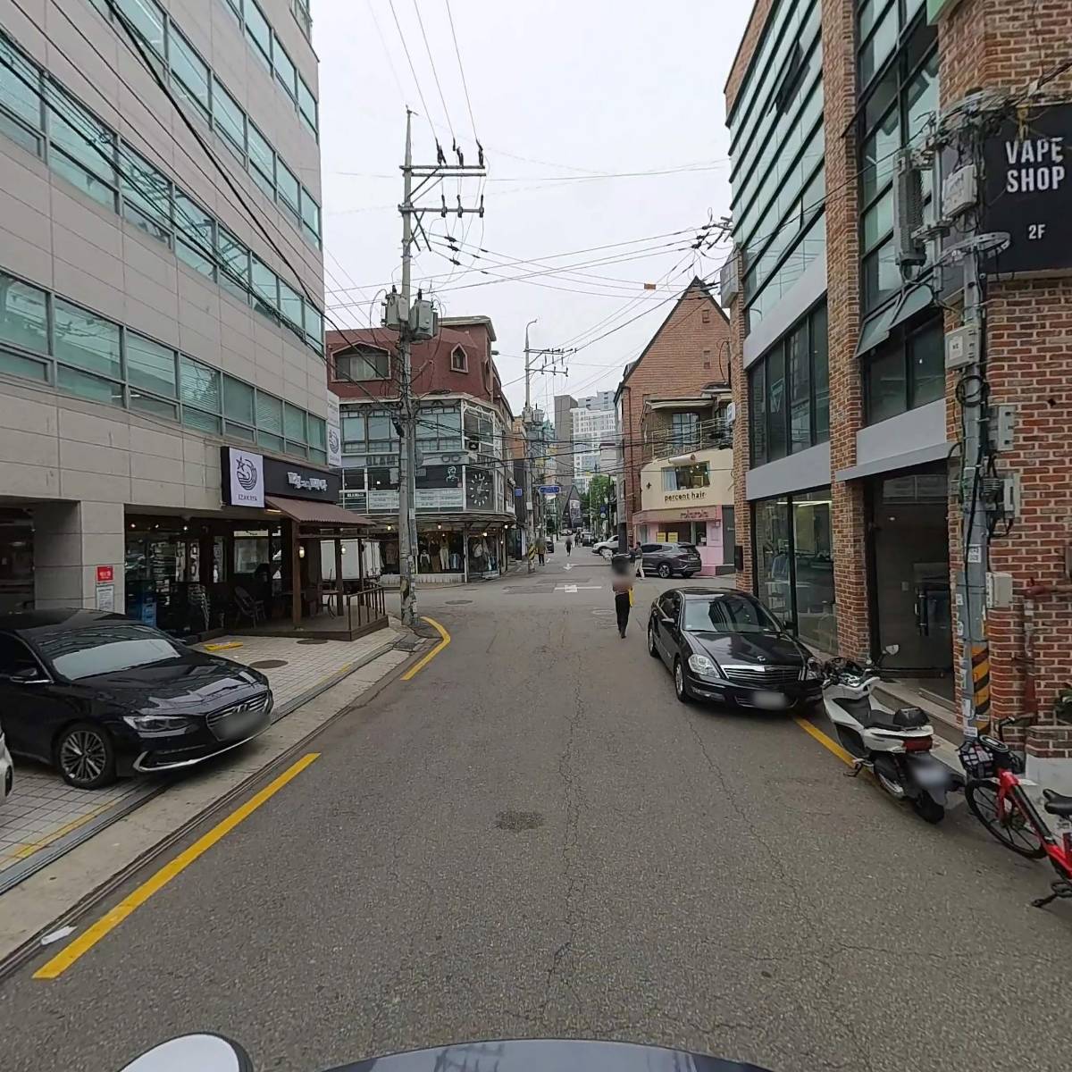 팜파스_2
