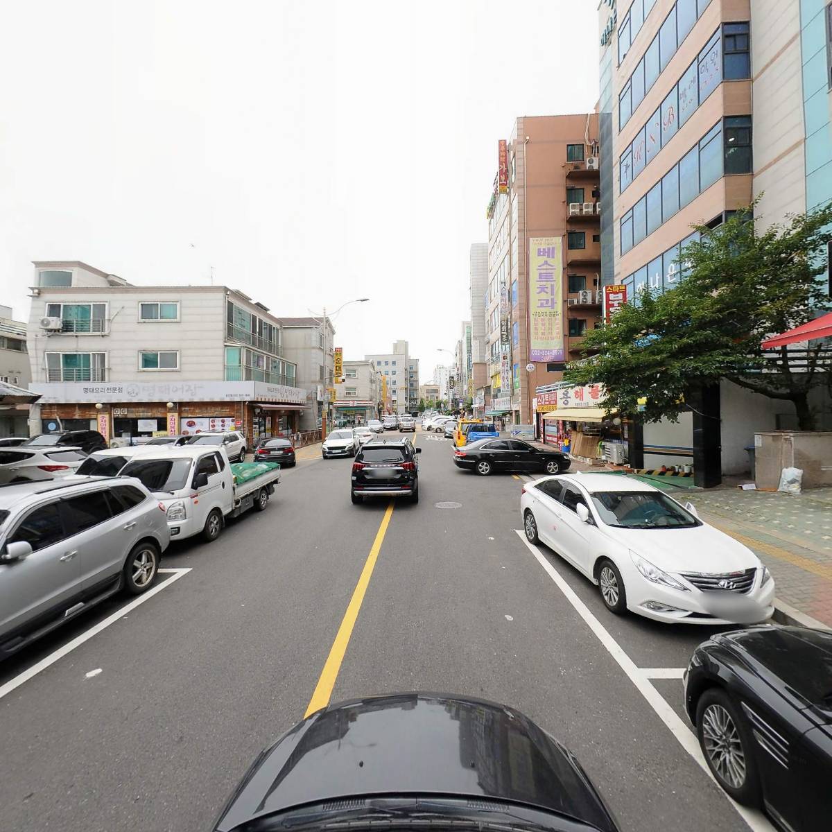 주식회사 비하다_4