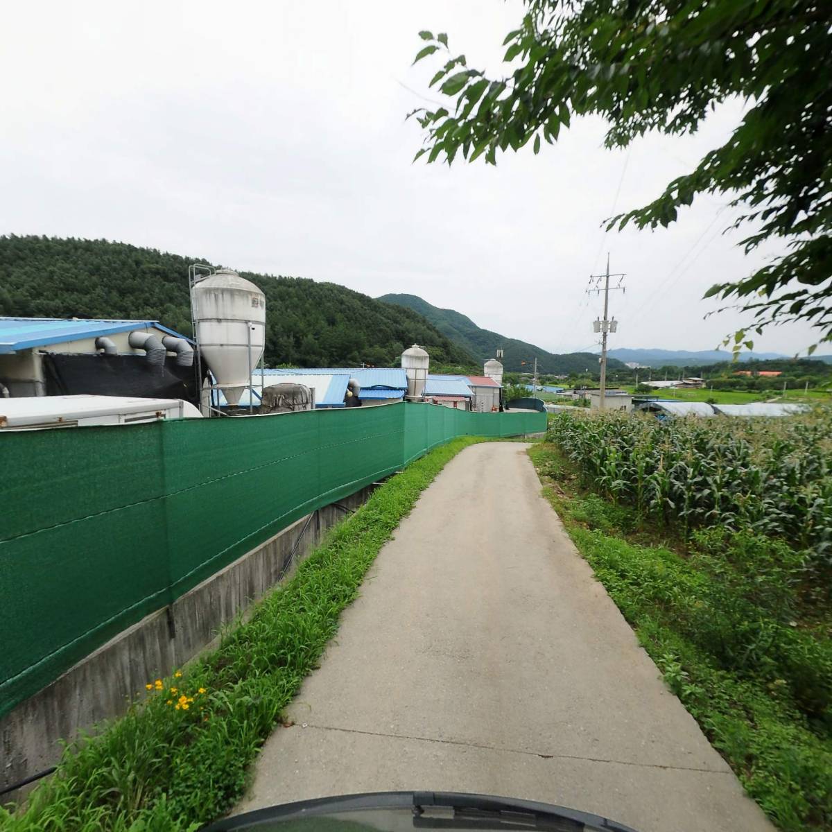 (주)새벽아침 가평지점_2