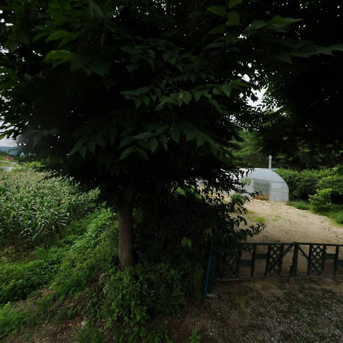 (주)새벽아침 가평지점_3
