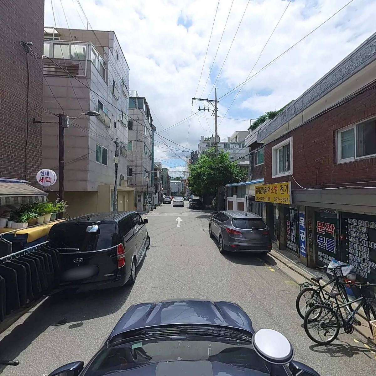단풍손_4