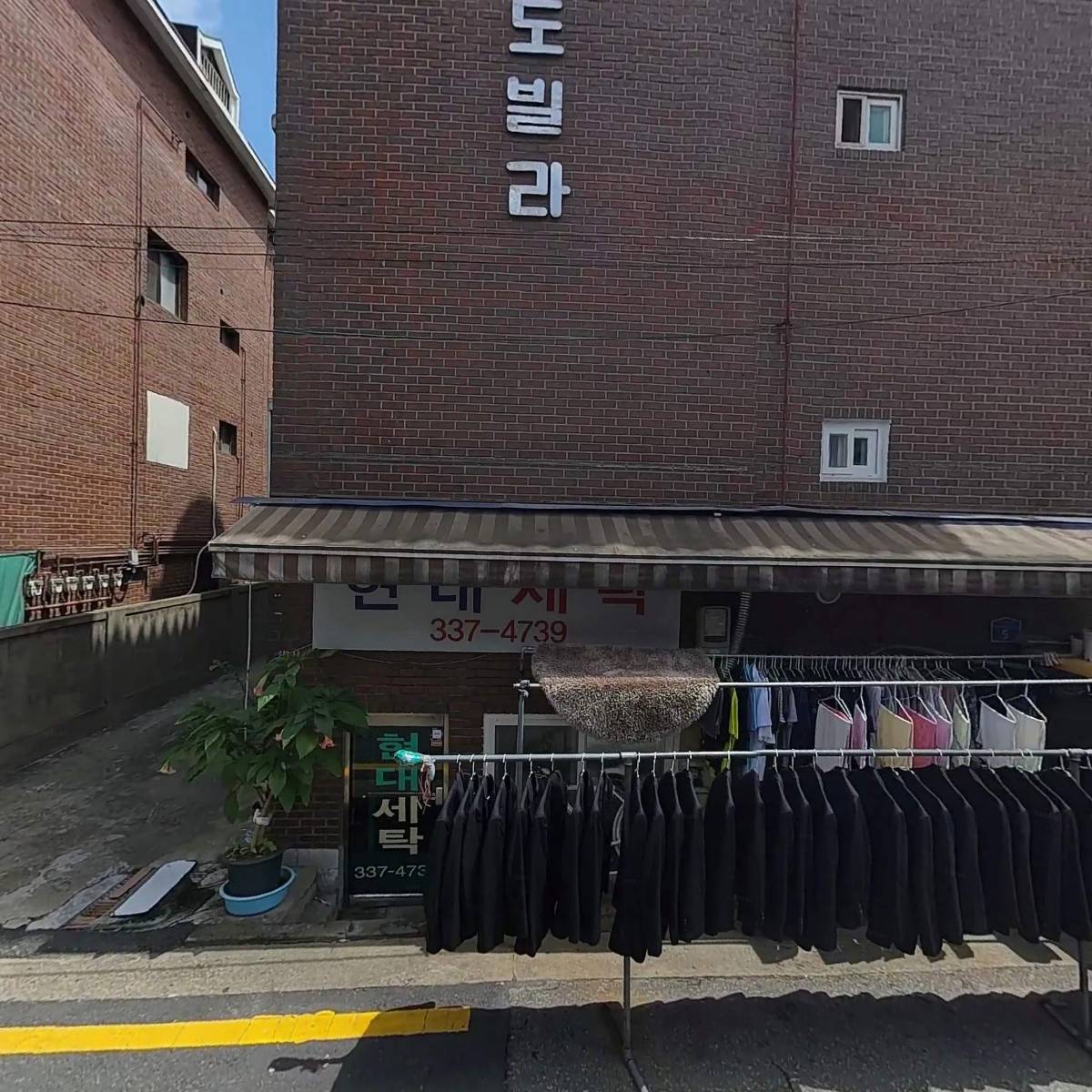 단풍손_3