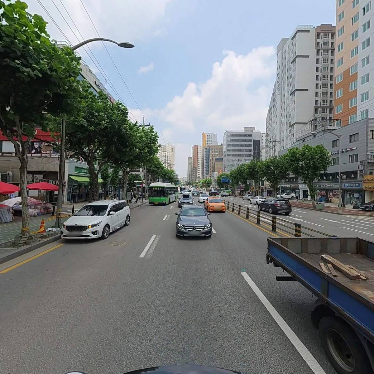 여성크로커다일_2