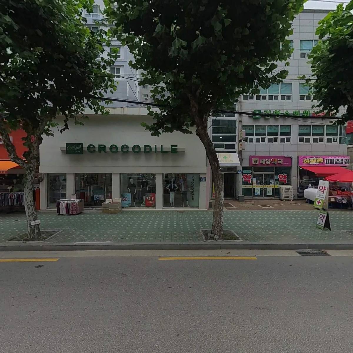 여성크로커다일
