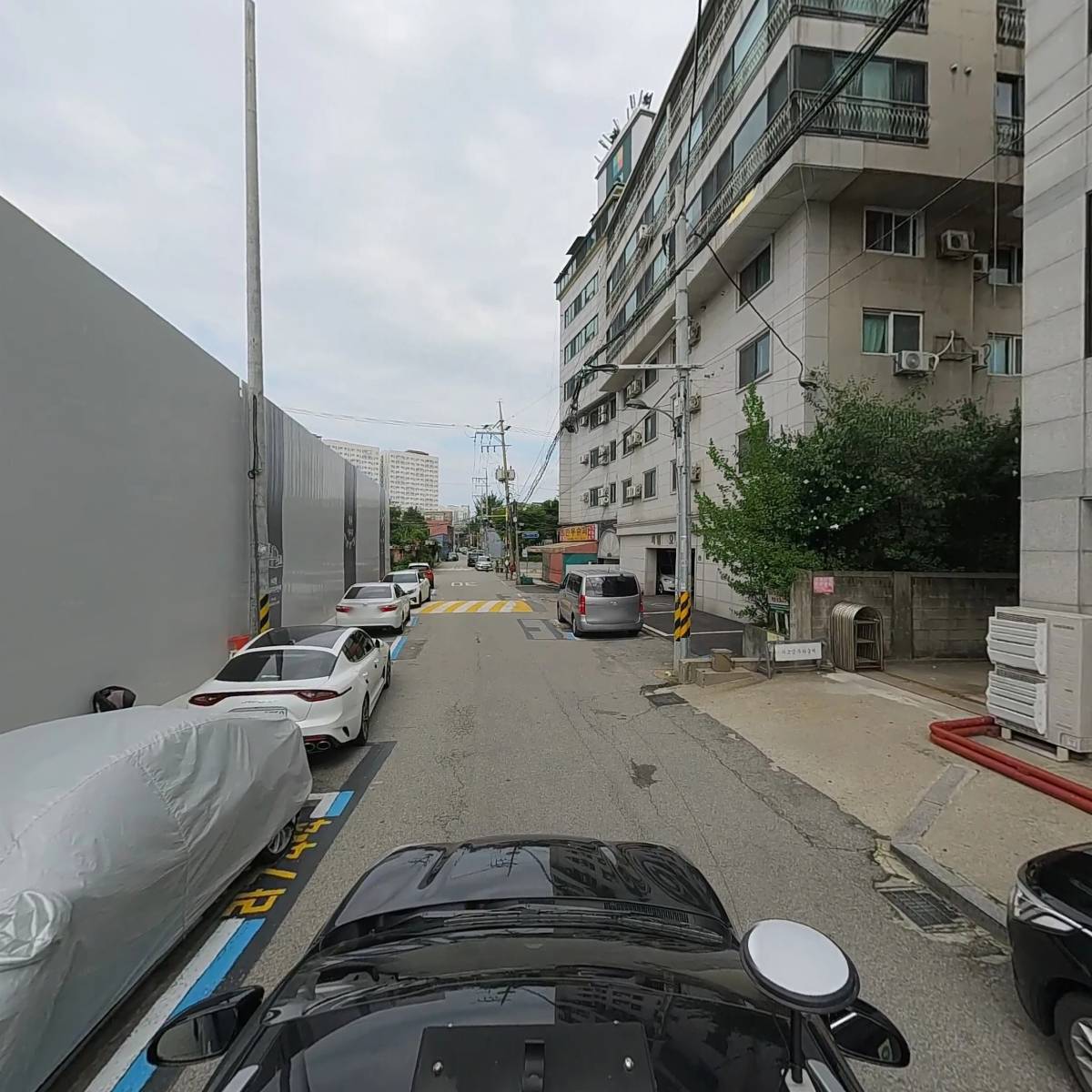 초림자수_4