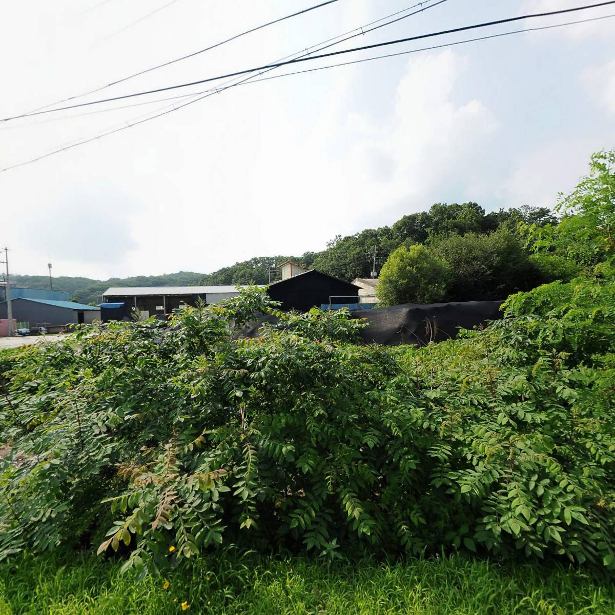 흥성산업