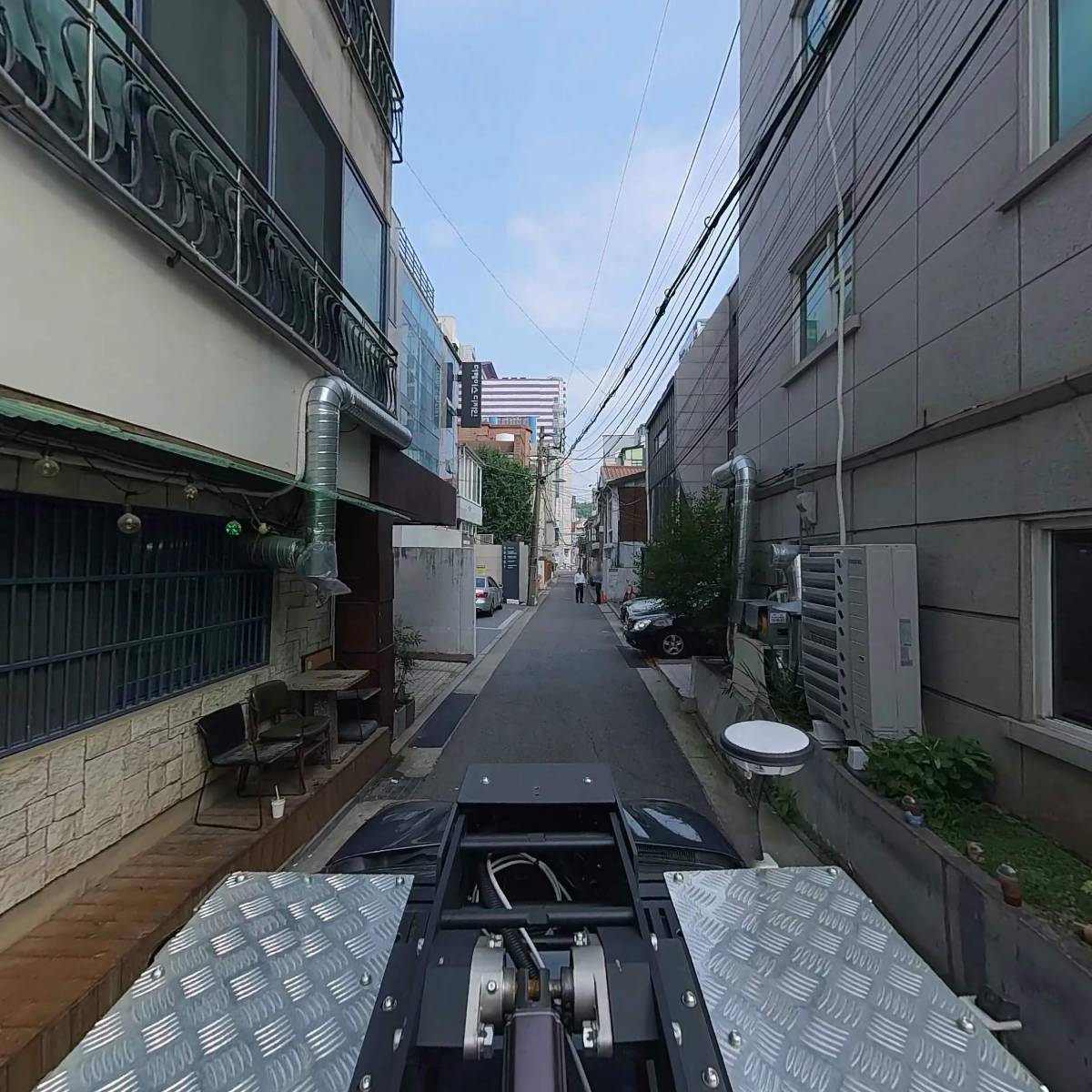 빵나무_4