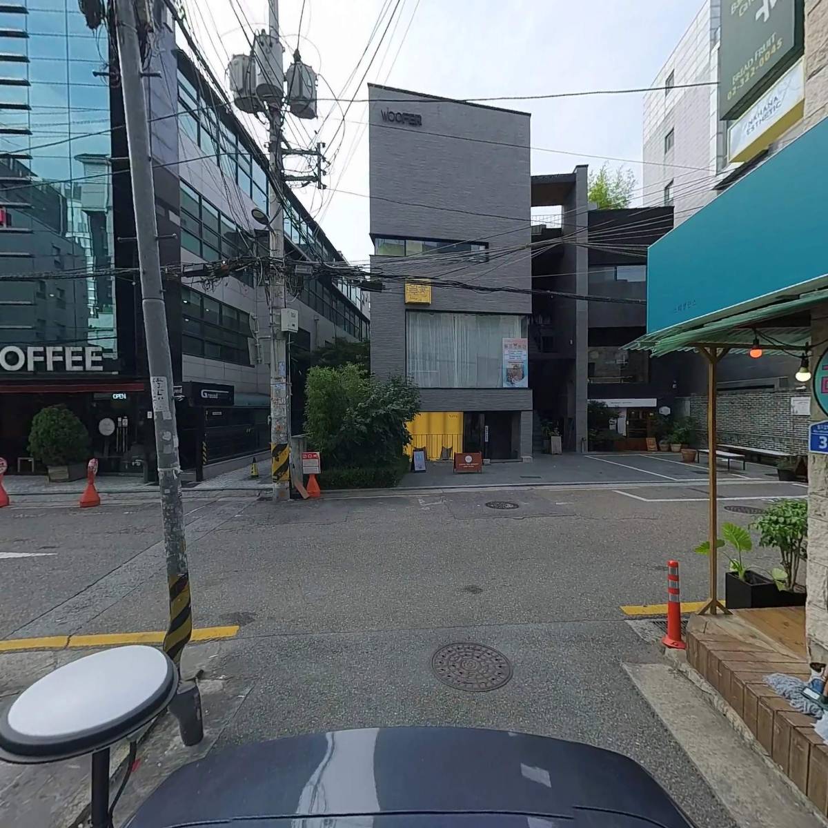 빵나무_2