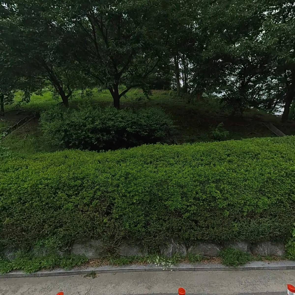 코멕티엔씨