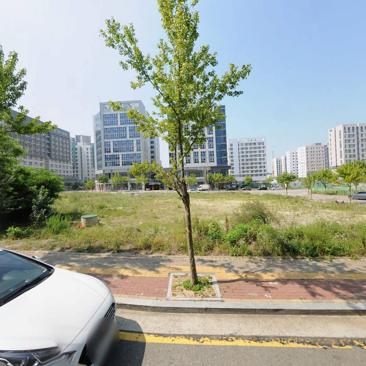 대교플러스관세사무소_3
