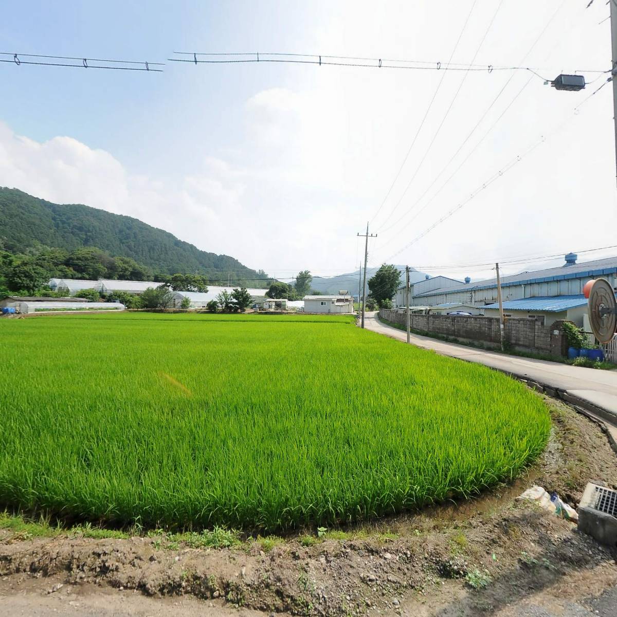 (주)해온섬유