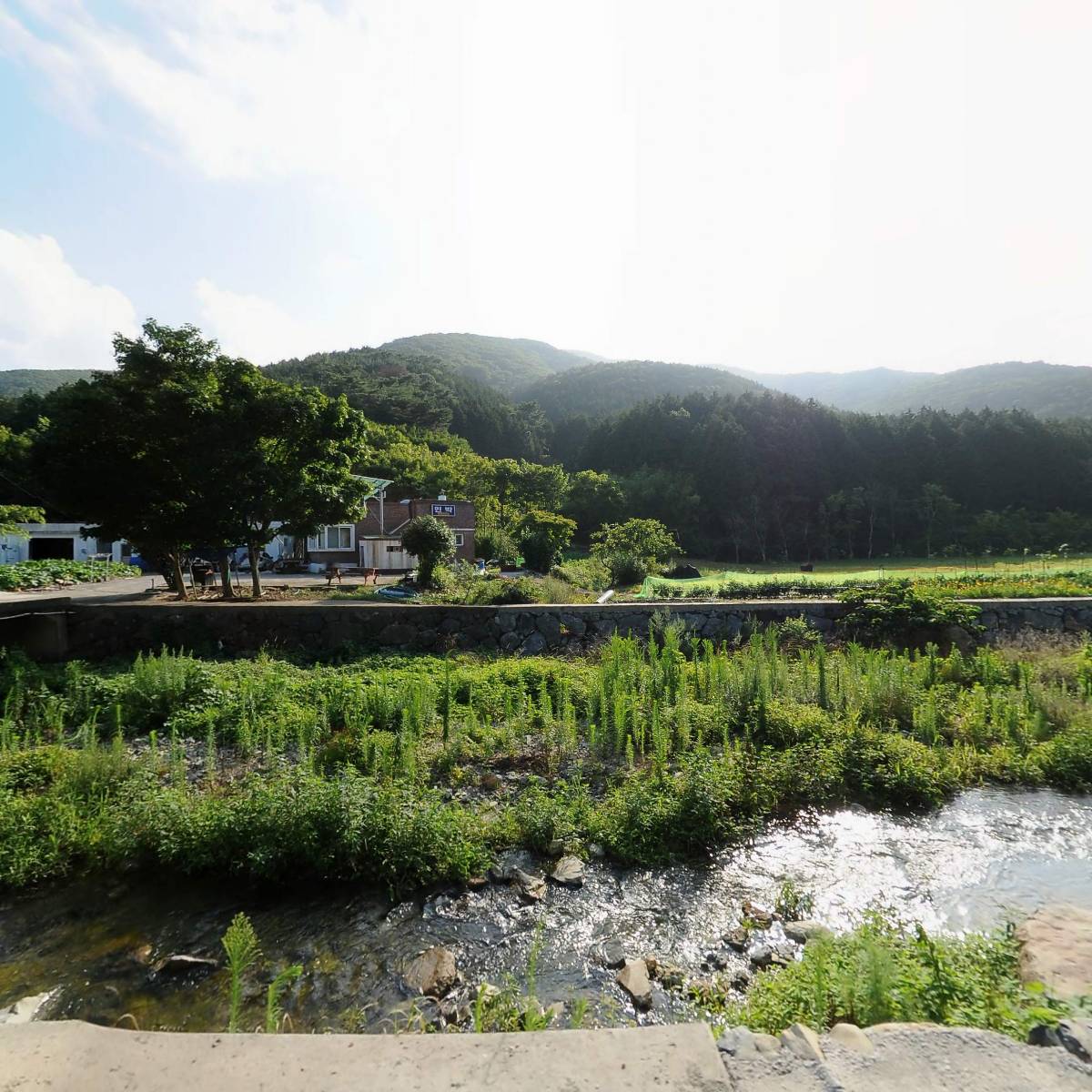 거제도건어물 직판장