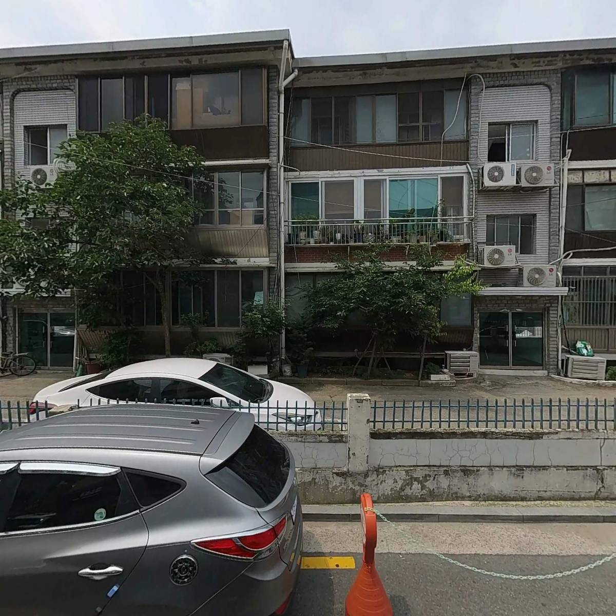 신촌김치