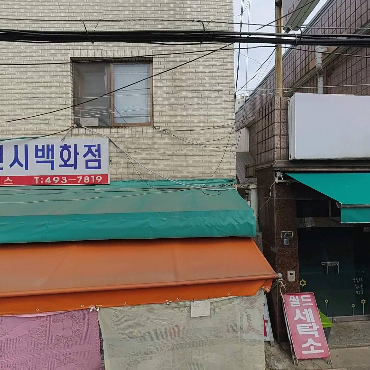 샤올