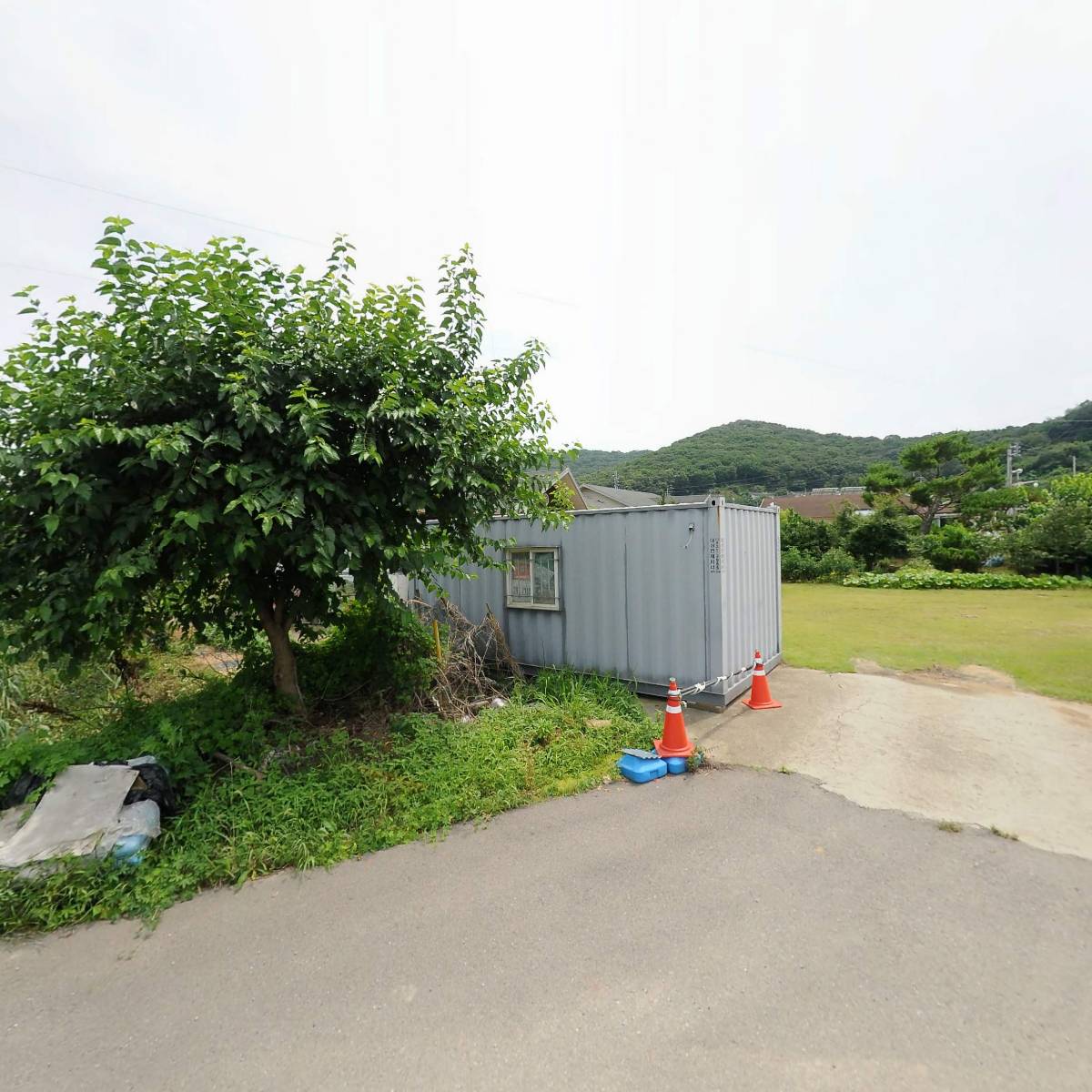 엉클솝