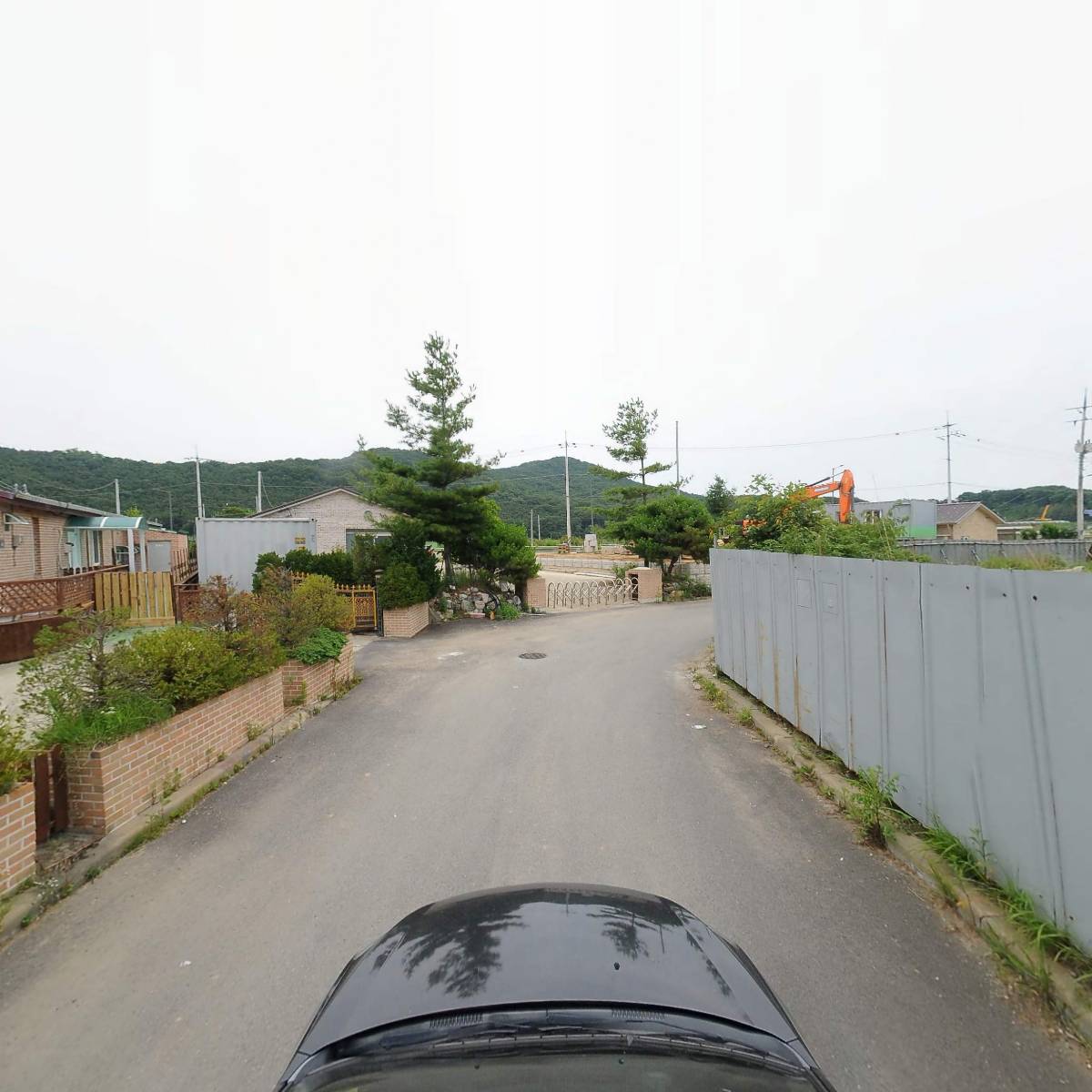 디엔엠 패롯 팜(D&MParrotsfarm)_4