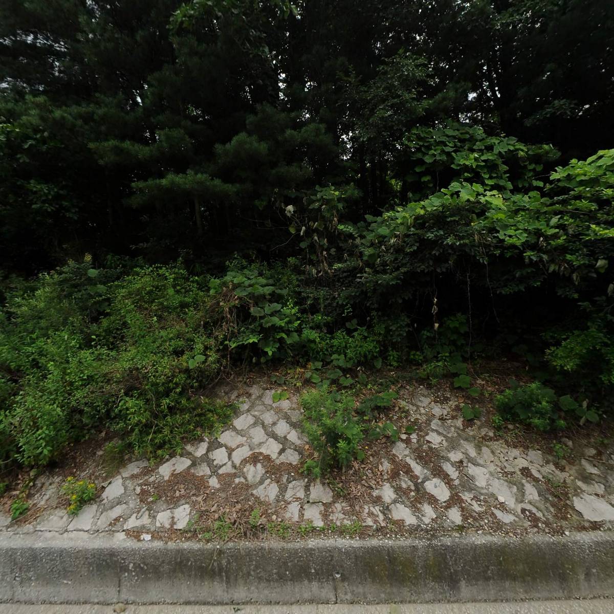 주식회사 클럽프라비다