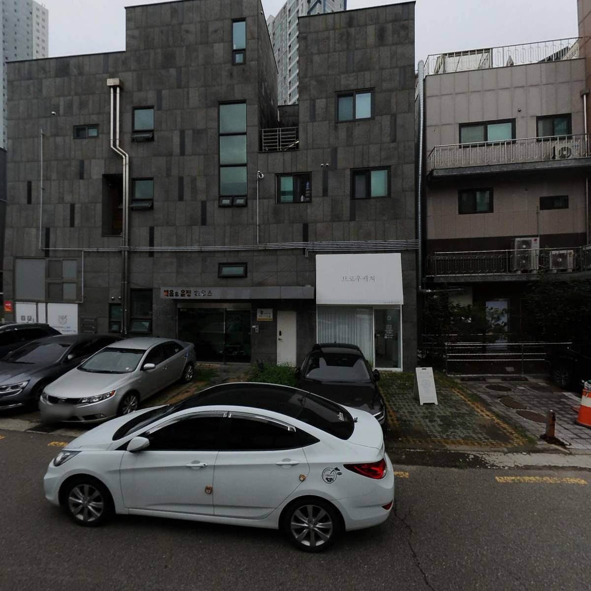 라임동물병원_3