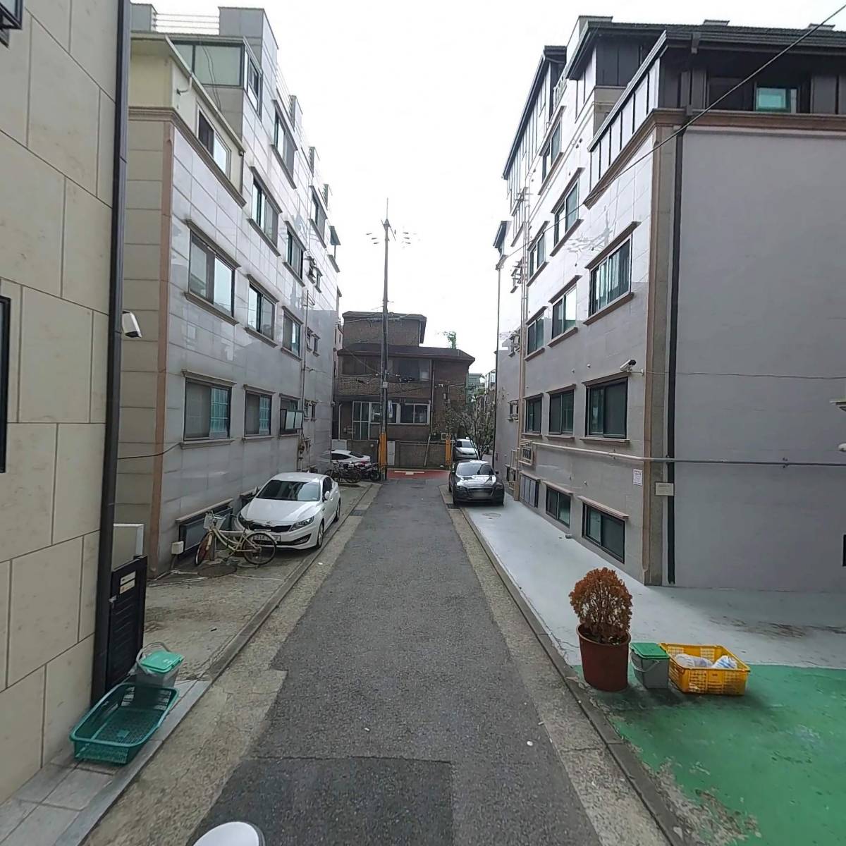 다노리네(Danorineh)_2