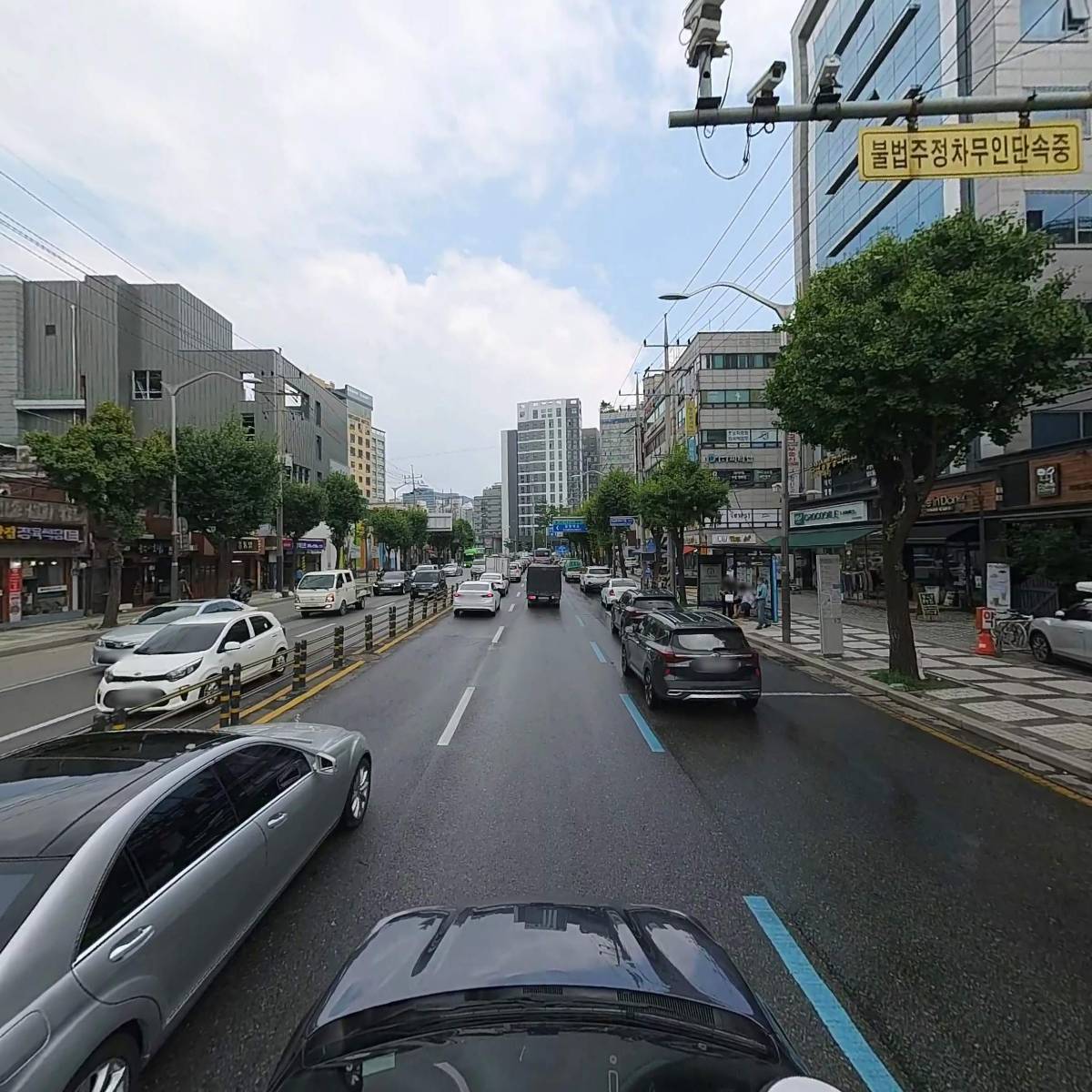 황금알_4