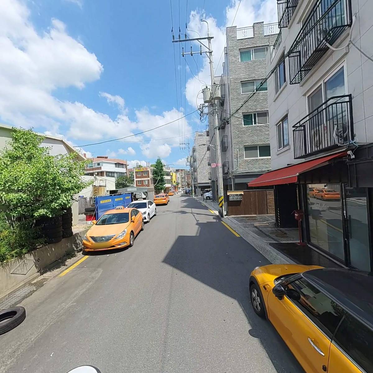 핑크로즈_2