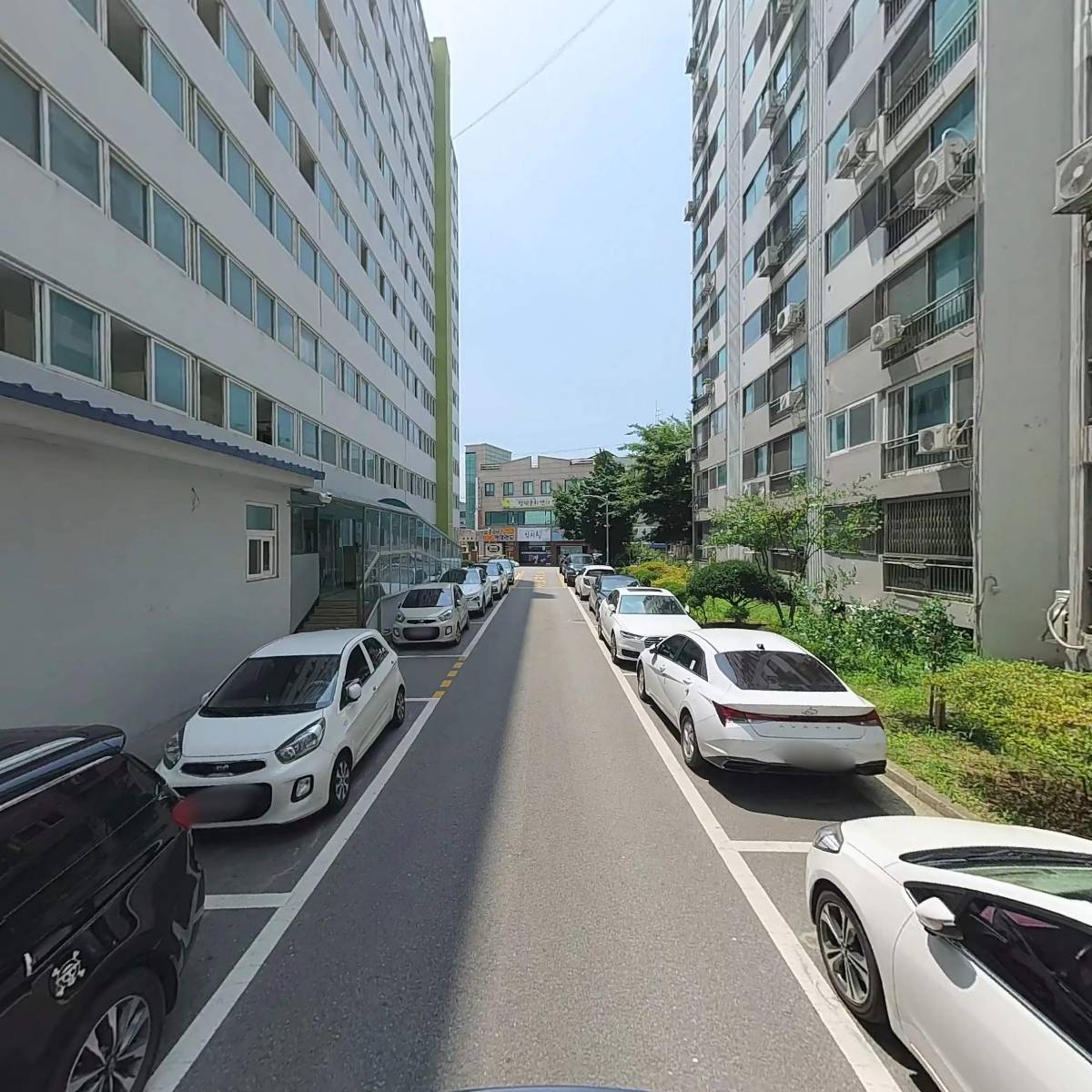 코어스 Cors_2