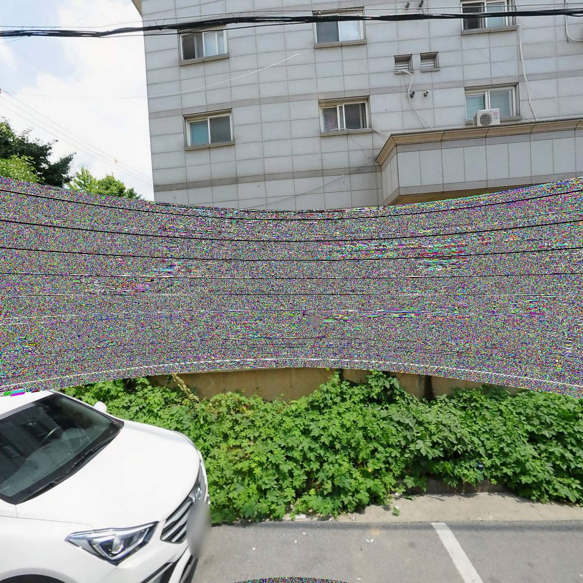 씨유구월다우림_3