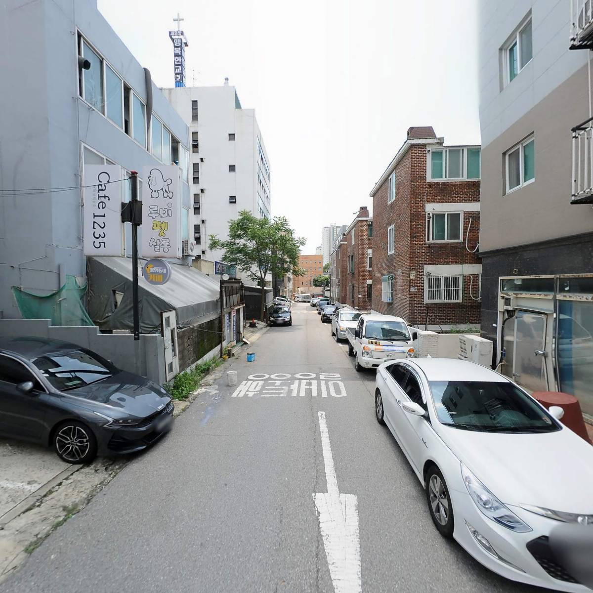 과일파는 삼촌네_2