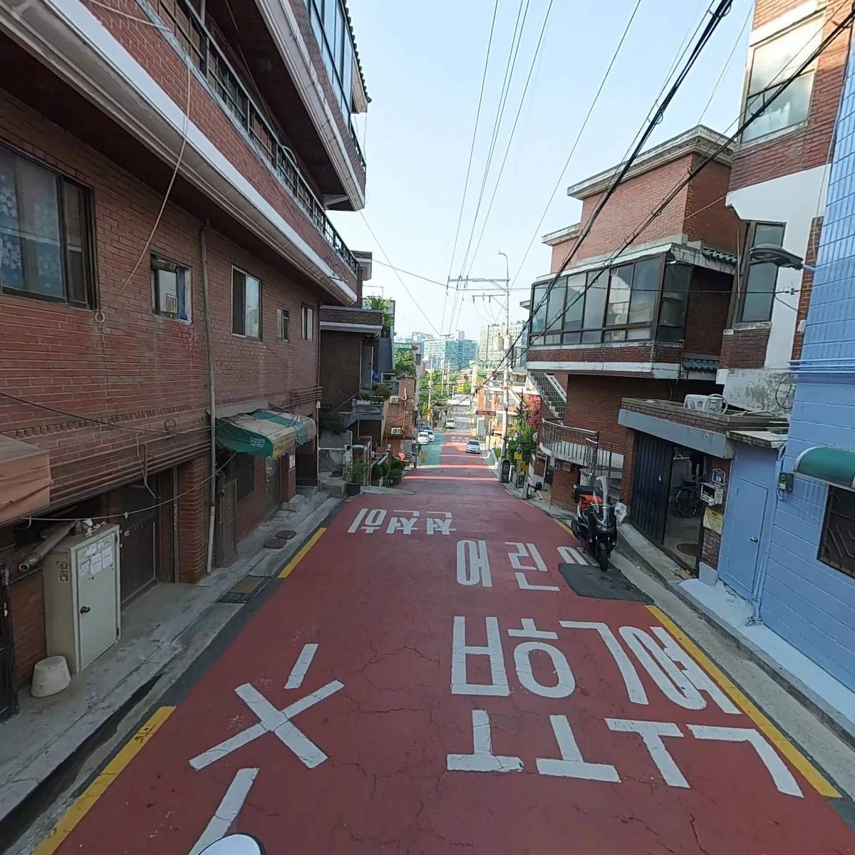 코멜리퍼플_2