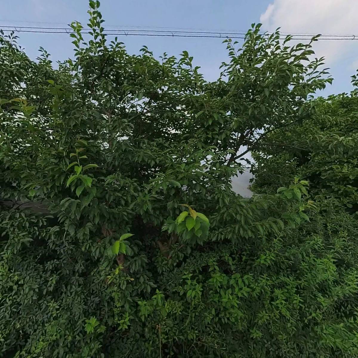 주식회사 인게이지