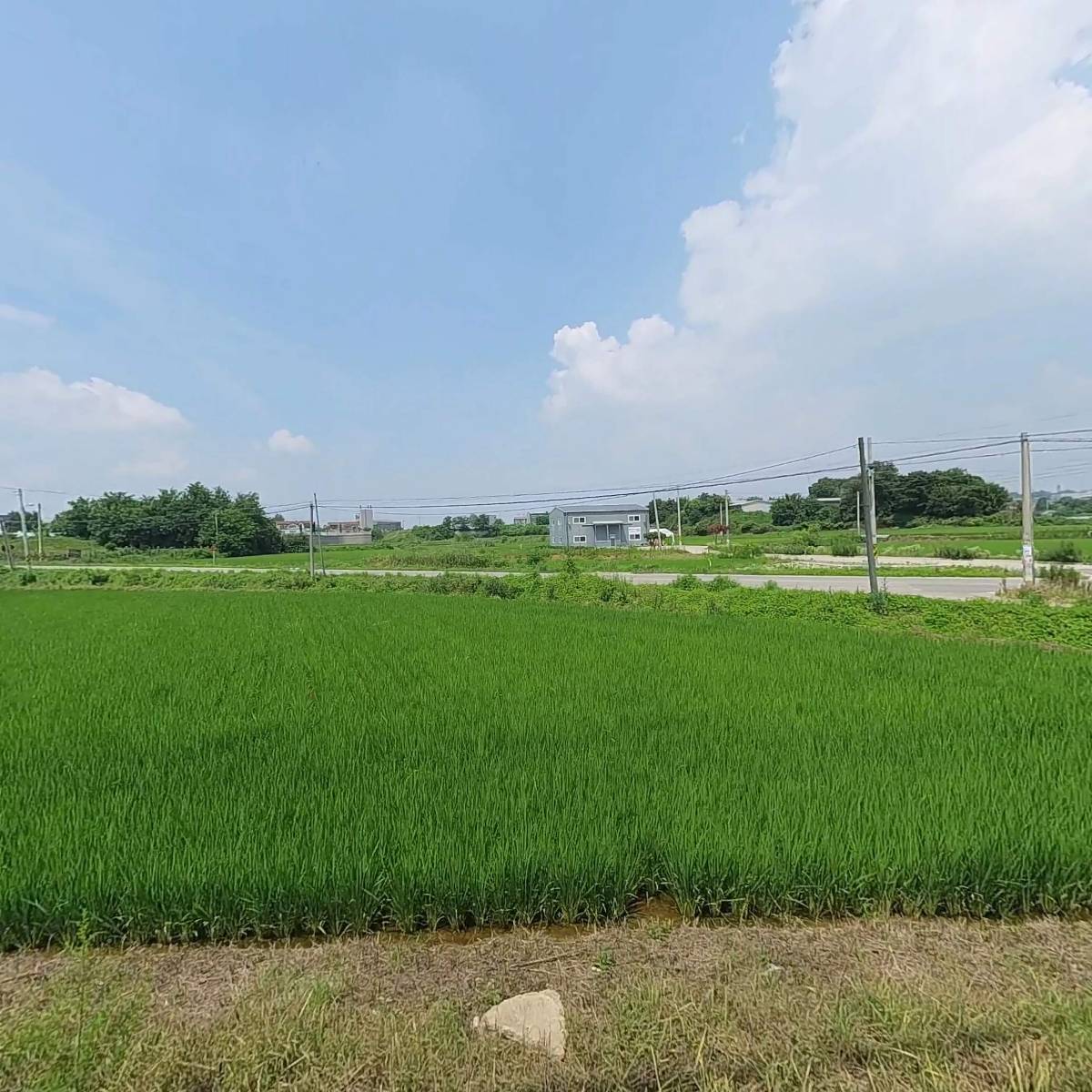 (주) 오엘비테크 (OLBTECH)