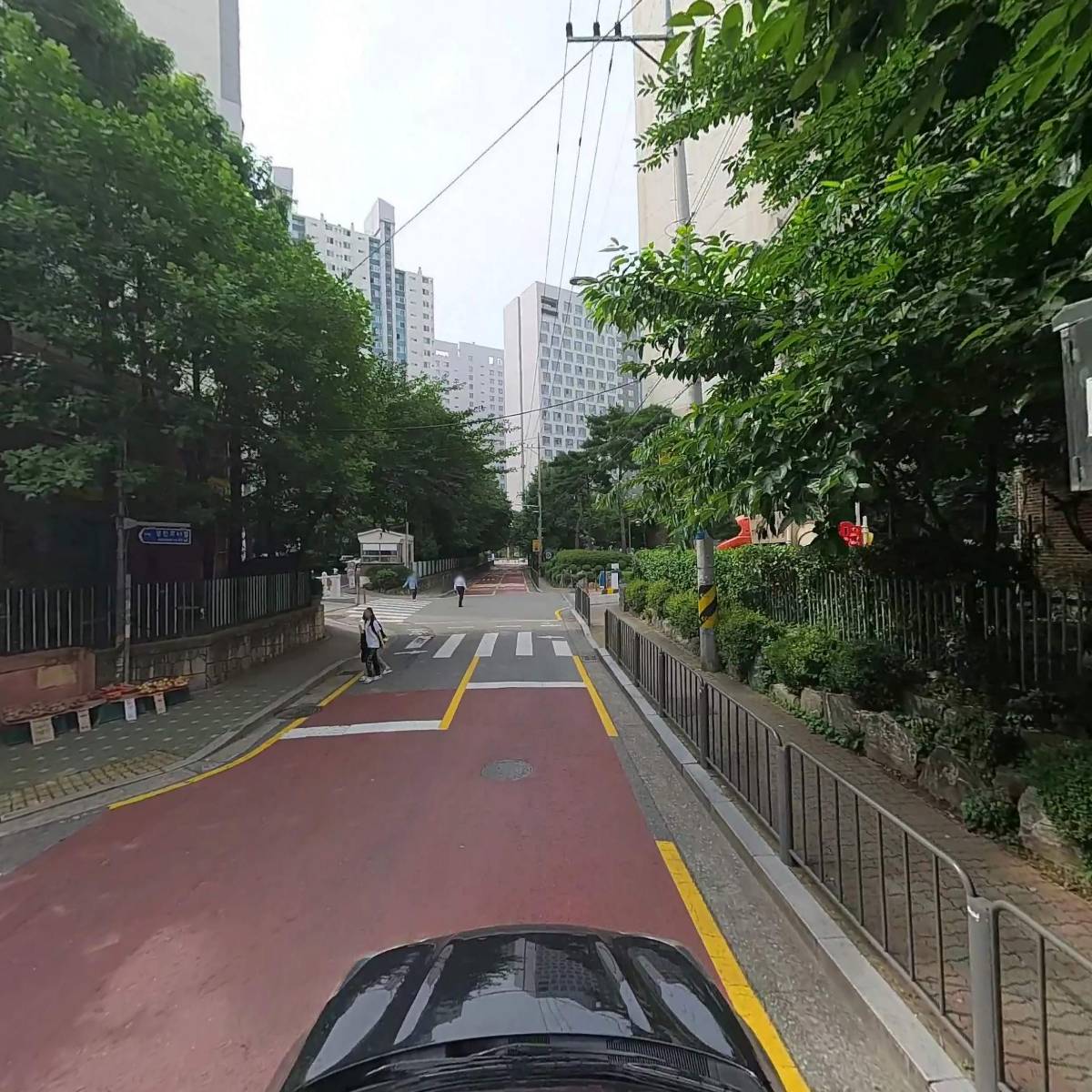 드라이로즈_4