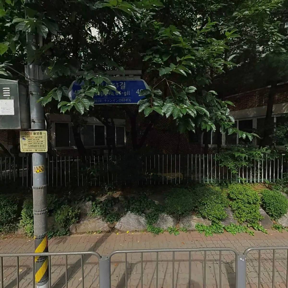 드라이로즈