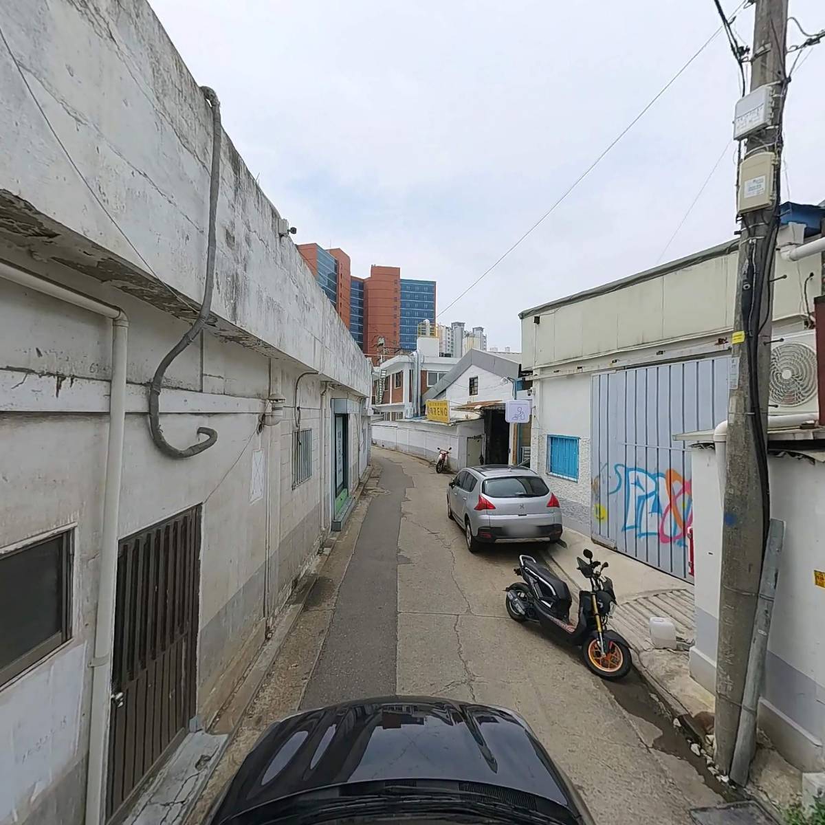 창경빠우_4