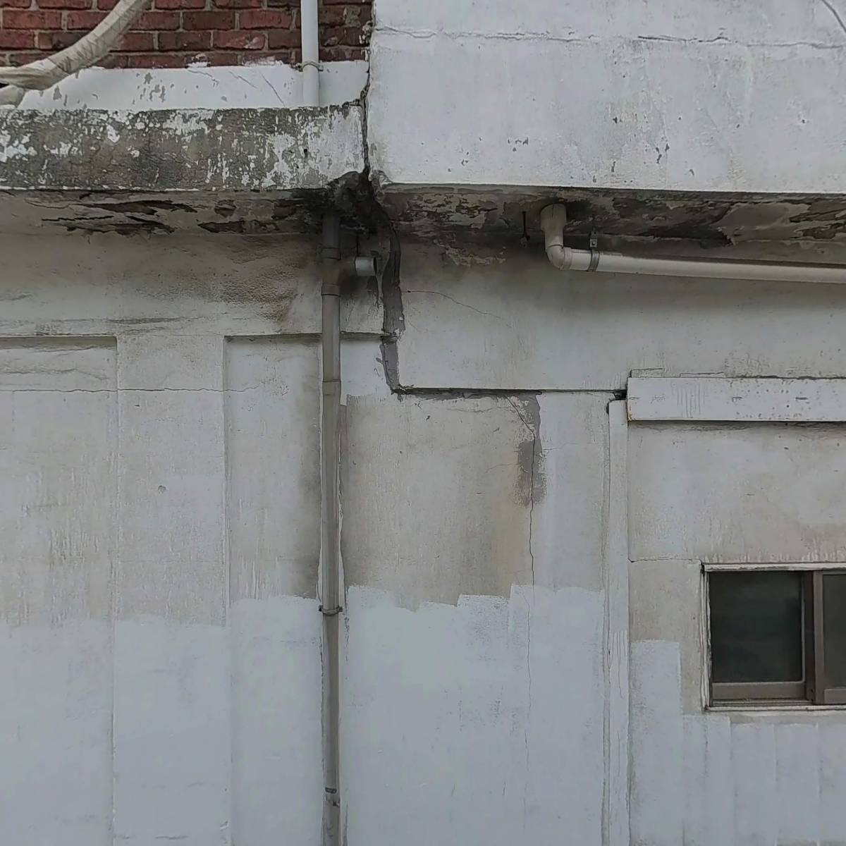 창경빠우_3