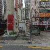 스패로우