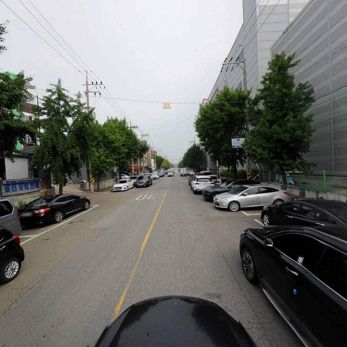 청광정공_4