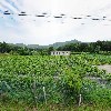 이마트24 일동홀인원점